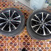 تخم ويل كب للبيع قيم بلي يرضي الله وتدلل 07724391194