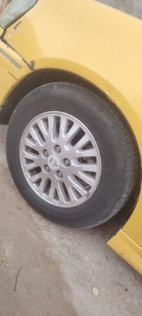مراوس بويل • عادي