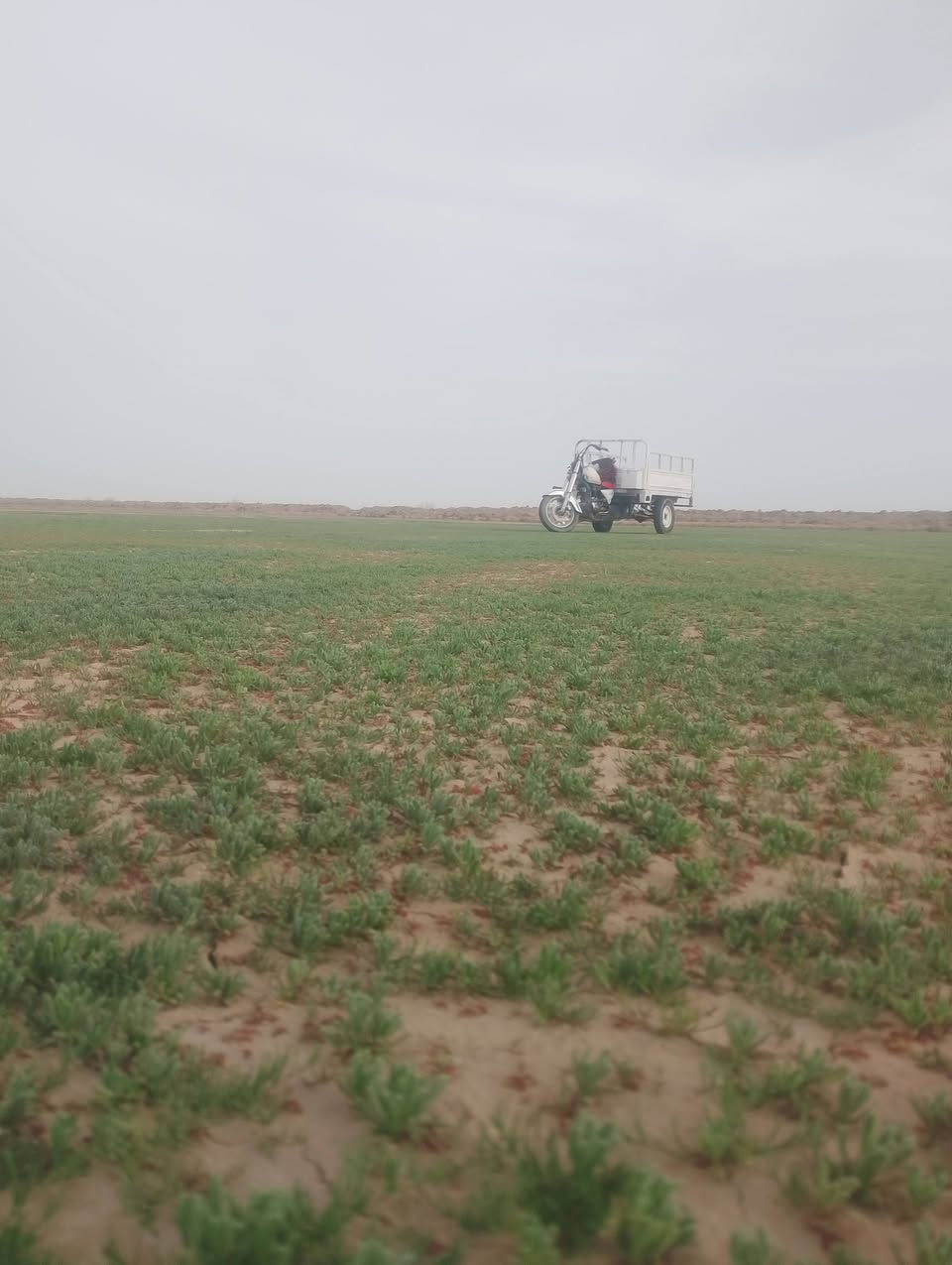 ستوته كللك البيع مكينه وكير مكفولات وكسن وتواير وكهربيأت كله شغاله    سعر 525وبيهاا مجال ***********تصل وبيك خير وتدلل ماعدك فلوس تعال اركب وروح مكاني الرميثه
