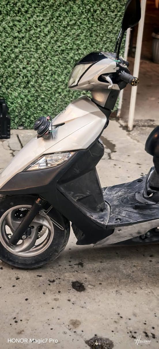 سلام عليكم خوان ثعلب رنبه جديده لبيع او مراوس الرقم ***********حي جهاد
