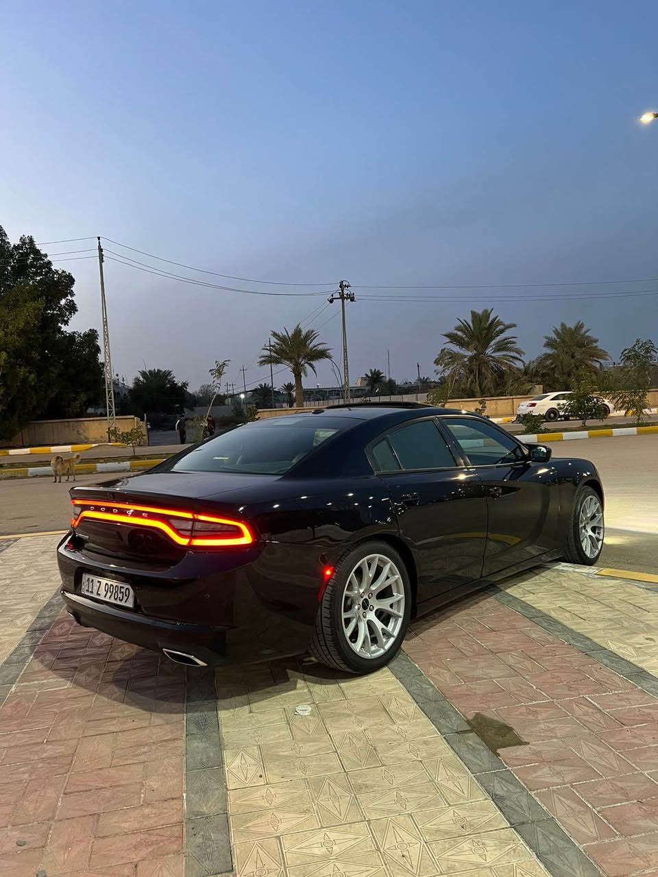 السلام عليكم ورحمة الله

جارجر 2020 sxt plus v6 

تو ويل 

رقم بغداد ١١ الجديد

فول مواصفات عده الرادار 

فتحه سلايت

 كشنات جلد تدفئة وتبريد وكهرباء

ستيرن تدفئة

خزن ميموري 

شاشة جبيرة

بصمه تشغيل عن بعد 

مكينة ٣٦٠٠

ماشية85 مايل

ويل ٢٠ 
  

حادثها كلش حلو  بنيد فقط 

للاستفسار الاتصال***********
*********** 
السعر 230 ناصرية, ذي قار
