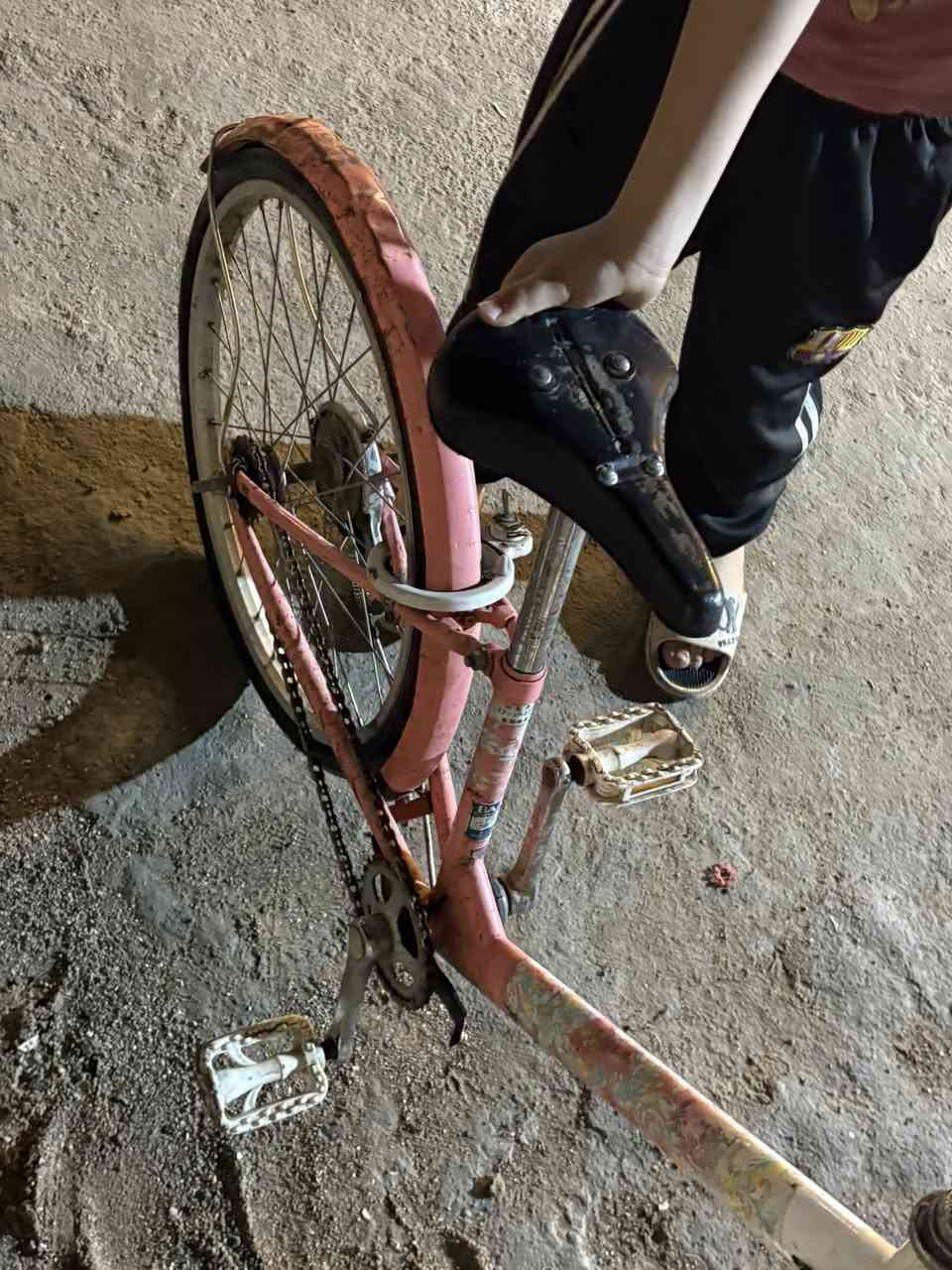 مرحبا بايسكل نظيف جداً سعره ٤٥ ياباني قوي جداً مكان حي العامل بغداد


**إذا كنت صاحب هذا الإعلان وتريد حذفه لأي سبب، رجاءا أرسل رسالة إلى الدعم الفني**