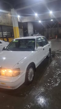 أرنب • بغداد • كفالة