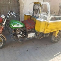 ستوته • شغاله • بدون أوراق