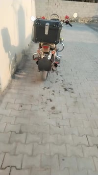 جونده • ٢٠١٠ • اوراق