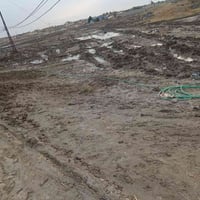 بنهاية البندقيه بالزراعي • ٢٤٥م • كهرباء ماي