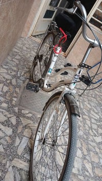 باسكل • حي قادسي • شارع ثابت