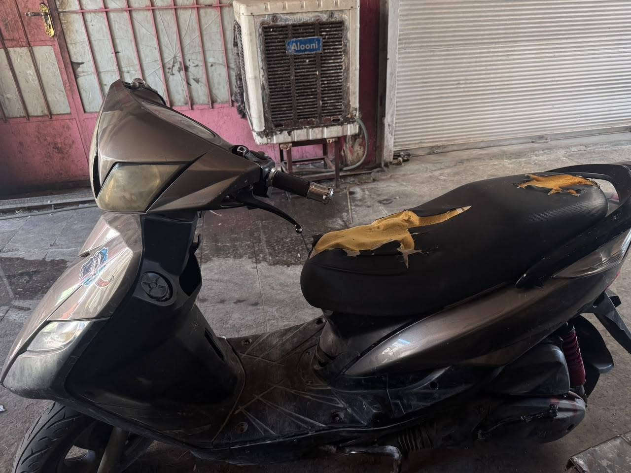 للبيع ثعلب بيهة تلحيضات بصيطة
السعر 450بيهة مجال حك الجية  *********** الستفسار
