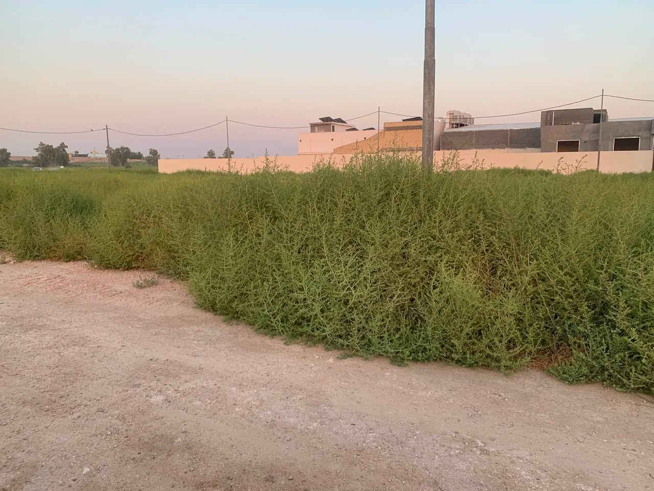 قطعتين ارض لبيع وحده  بصف الثانيه مساحة القطعه ٢٠٠متر تبعد عن الشارع العام ٣٠متر مجاوره لمدرسة دار العلم وبصفه حضانه موضحه بالفيديو قطعه ومحددات بالرسم الموجود وكل الخدمات بيه كهرباء مي 
الاتصال على الرقم 
***********

