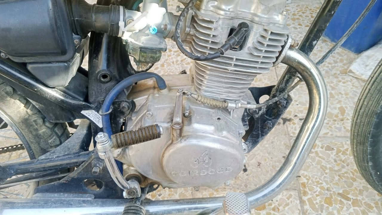 السلام عليكم دراجه كلك للبيع سعر 325 مجال وهذا رقمي ***********
