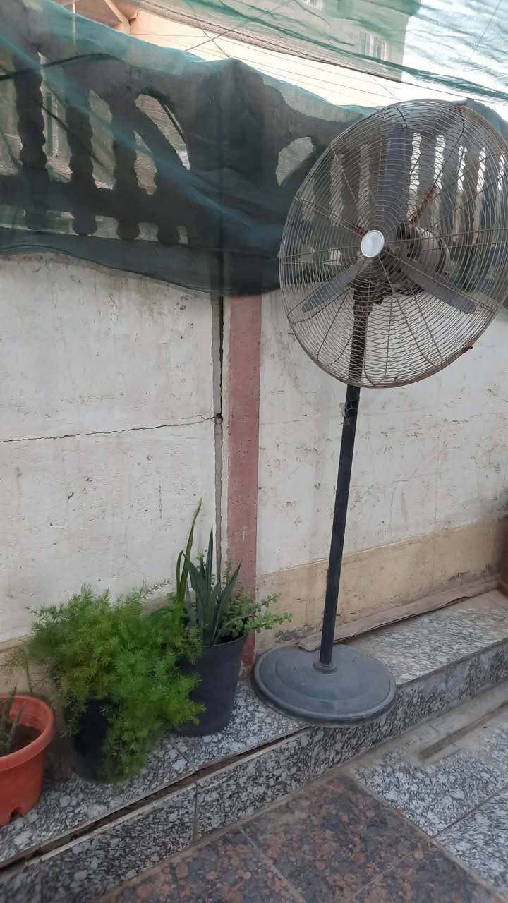 بس عليها دهن امجيمها متروكهل


**إذا كنت صاحب هذا الإعلان وتريد حذفه لأي سبب، رجاءا أرسل رسالة إلى الدعم الفني**