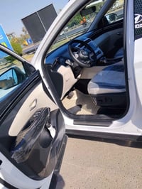 توسان ٢٠٢٤ • مرقمة بغداد • ماشية ١٧٠٠٠