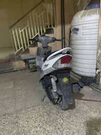 ماكس منغولي • معدل فول • ديوانية العصري