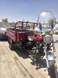 ستوته • ١٦ • شغال