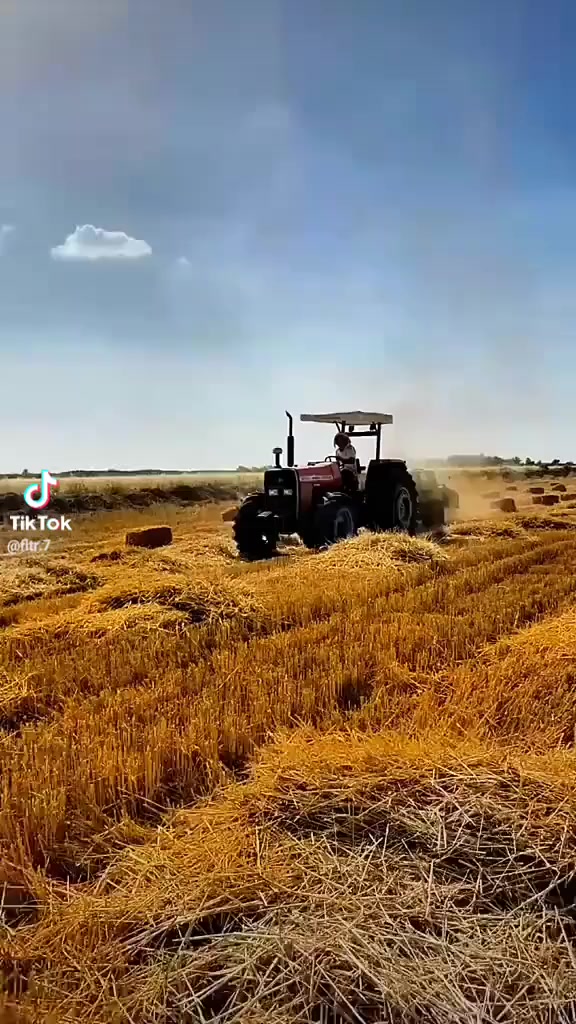 سلام عليكم مكينه للبيع نوع تركي موديل 2001 تك ومحور دبل مكينه بوضع الشركه مجرد بس مفتوحه للتحوير مكينه كامله من تخم تاير لاصلي كهربائيات محرك اكسن بوضع..شركه.. تحويل تريد وكاله  لاستفسار*********** مكان الساحبه واسط نعمانيه
