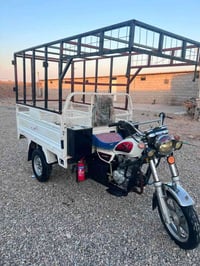 ستوتة • ٢٠٢٣ • خانقين