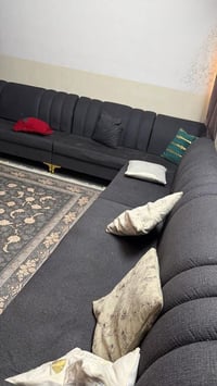 تخم للببع سعره 100 الشراي يتصل ع الرقم 07806409301