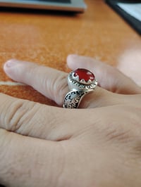 مراوس • اركيـلة