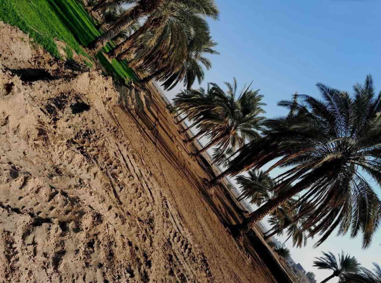 500 م بسعر 35 مع المجال
نص دونم ب 75 مع المجال 

✅ اراضي للبيع في كربلاء جة باب بغداد بدايه طريق الچماليه قرب منتجع الرحمن  

✅ كافه الخدمات  مباشر علئ التبليط  
 
✅سند 25 تحويل مباشر  بأسم المشتري 

✅( تبعد عن  ألامامين عليهم السلام 8 كيلو )

✅✅خدمات كامله تبليط 10 متر/ماء /كهرباء  /الارض مباشر علئ التبليط   
للاستفسار ....

***********

***********
