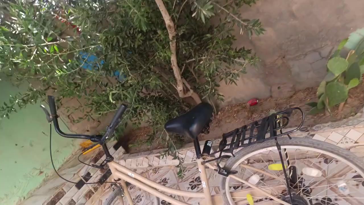 عمي السلام عليكم باسكل للبيع حجم سته وعشرين باسكل شوف العين وياه جاملقات جدام وره السعر خاص 😊


**إذا كنت صاحب هذا الإعلان وتريد حذفه لأي سبب، رجاءا أرسل رسالة إلى الدعم الفني**