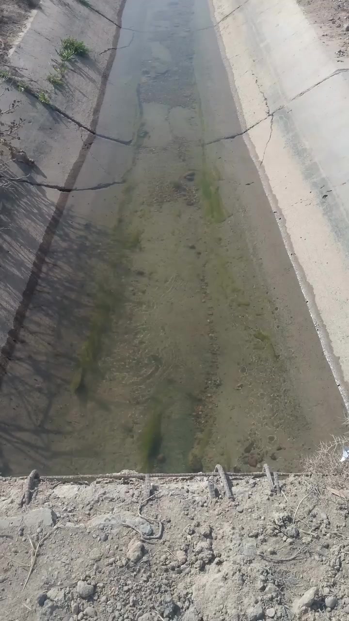 ملك صرف الطب الكظميه دونم 75 منطقه شيخ عامر. ***********
