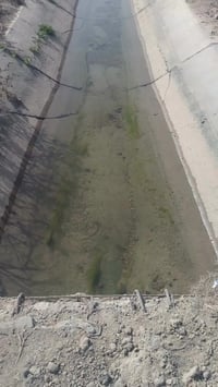 شيخ عامر • ملك صرف • ٢٥٠٠م