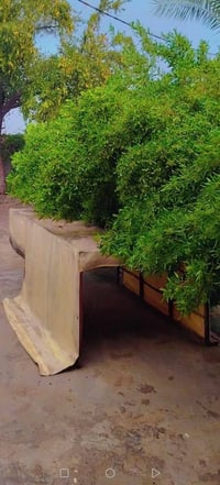 اخوان محجر ستوته اللبيع السعر على الرقم07714790054 مكلف بل نشر