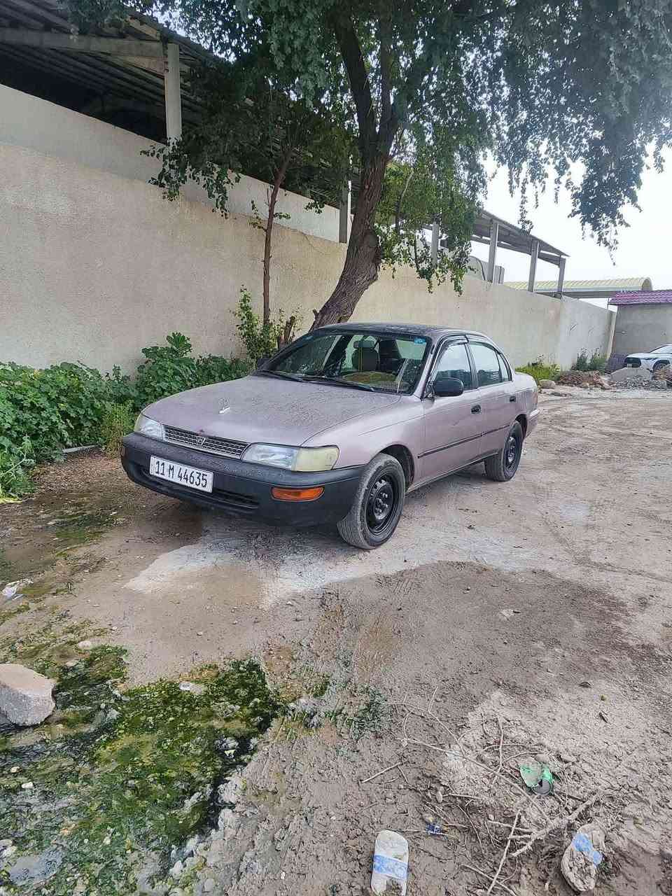 بيع مستعجل  كورلا يسره ابلاد موديل 93امريكي 
سياره صبغ عام. مكفوله من اي عيب شرعي سياره يلاديه وجهازه من حدداه امامي خلفي كير محرك  كهربائيات تبريد ثلج محرك 1800 شراي خابرني بغداد مدينة الصدر 

 *********** بغداد, العراق
