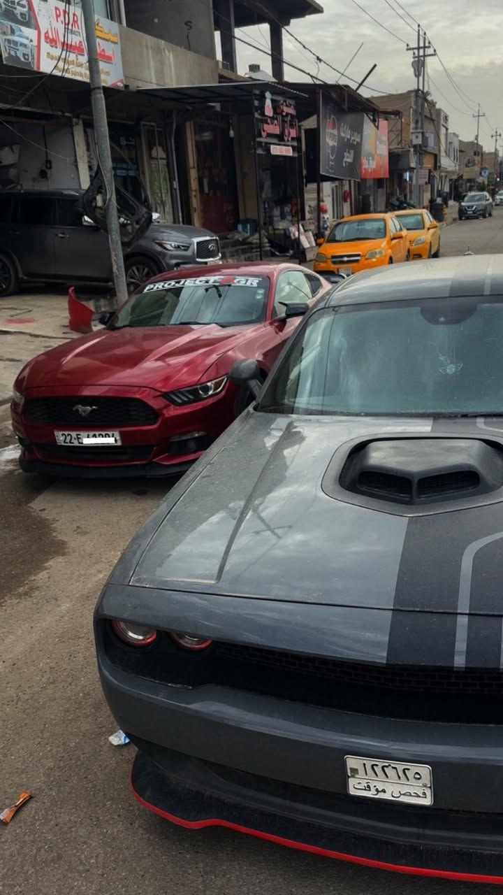 موستنك 2016♥️♥️
ماشيه 106mi

سياره جاهزه وكامله من كلشي 

فول كماليات ميحتاج اذكرهم لان كله كدام العين

ويل 18

سياره 3قطع صبغ بدون شواصي بدون دواخل

جاهزه للاخير السياره ♥️

للمراوس فقط فقط مراوس 

مكان السياره كركوك 

***********
