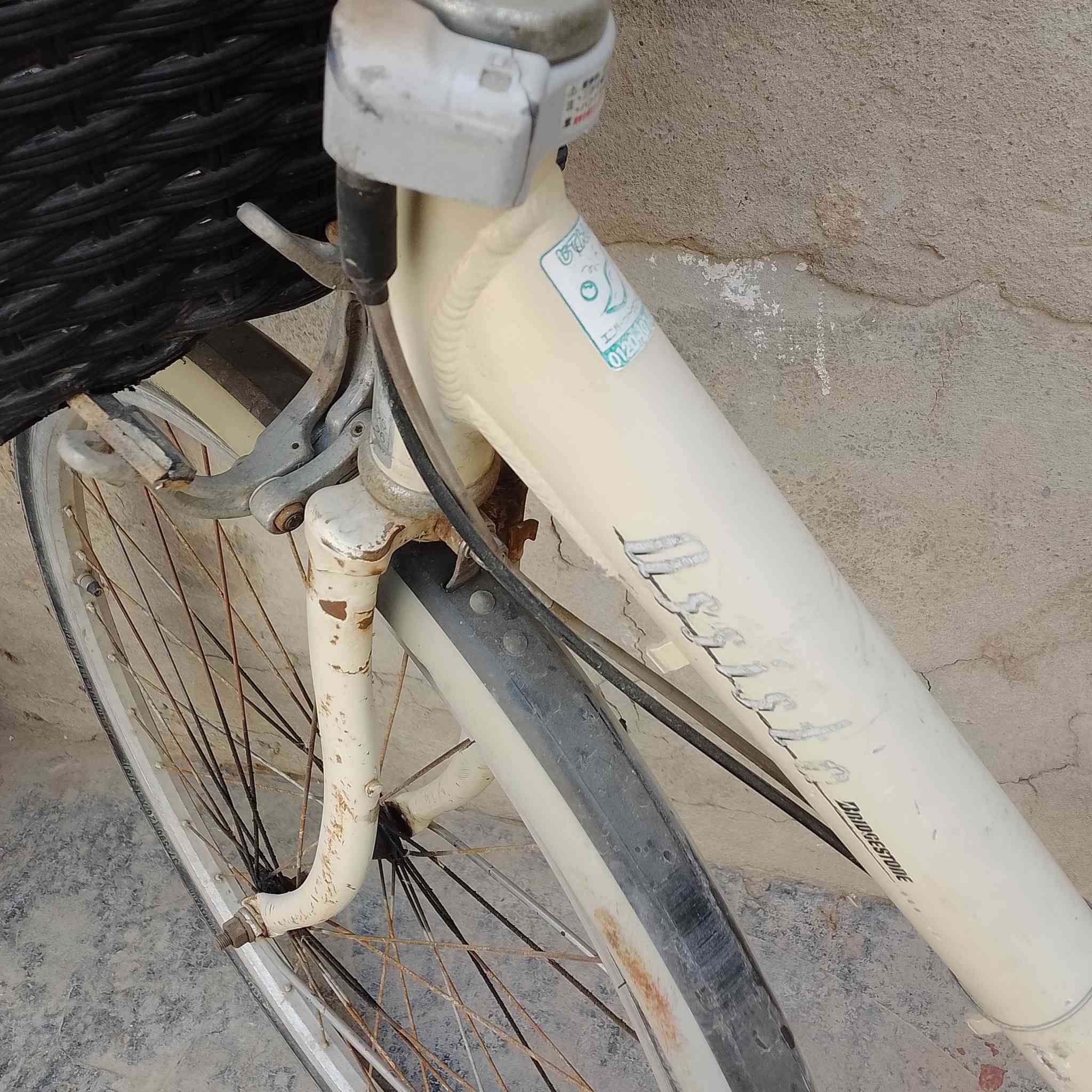 باسكال بابل الدابه 26/50,/***********
