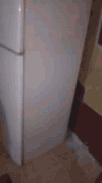 ٠٧٨٠٤٩١٣٩٧٨