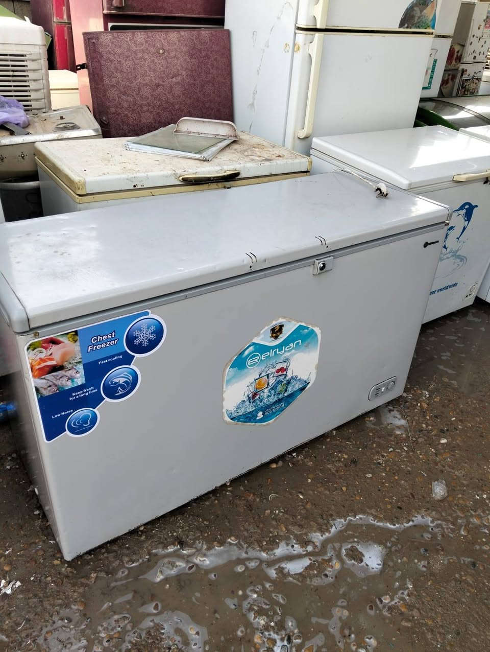 #مجمدات شغالات فووول تجميد وعلى الفحص والضمان اي اشكال بتجميده ترجع #باسعار جداً مناسبه 
احجام مختلفه 10 قدم و 14 قدم 20 قدم العنوان بغداد #المشتل #مجمع فدك قرب #المجلس البلدي رقم 
#ابوعلي للتواصل والاستفسار بي وتساب ***********
