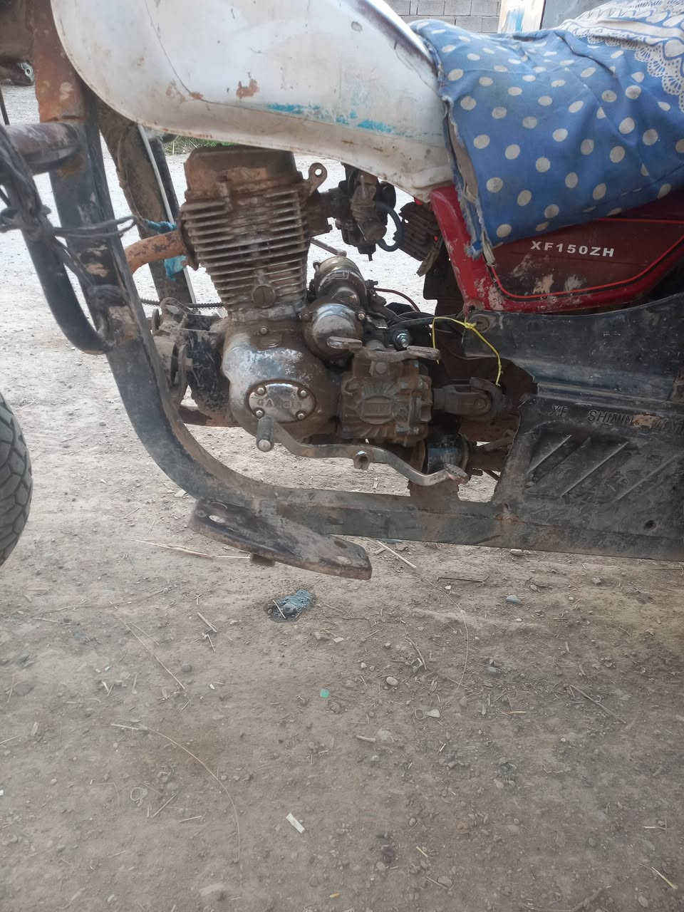 السلام عليكم ستوته البيع موديل 16 كامله مكمله كفاله عامه سعر 900 وبيهه مجال العنوان بعقوبه تقاطع ساده رقم ***********
