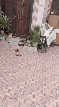 ئەم خانووە
بۆ فروشتنە 
ــــــــــــــــــــــــــــــــــــــــــــــــــــــــــ
 دارللبیع 
للاستفسار 
***********
***********
https://www.facebook.com/share/18G9oCmmhb/
