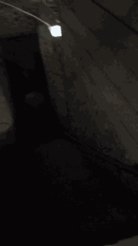 بيت للايجار المكان شارع 30 غرفة وصاله ومطبخ وستقبال وصحيات وفوك غرفة الايجار 450 

شقة للايجار المكان حي اور الثانيه قرب مدرسة الجماهير غرفتين وصاله ومطبخ وصحيات الايجار 300 
***********
***********
