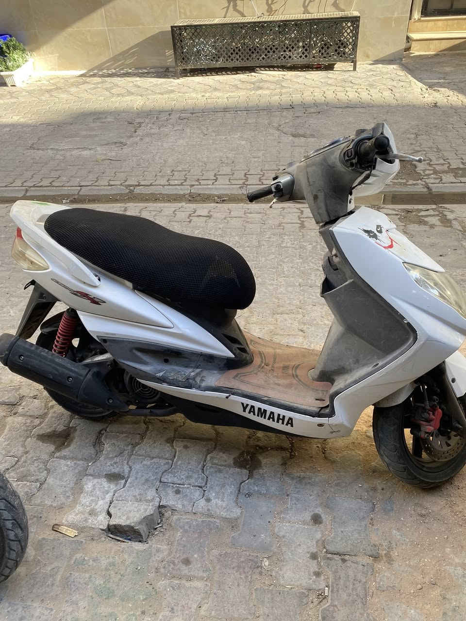 دراجة سكنس فحل للبيع مكفولة رمبة الشراي يجي ع واتس ***********
