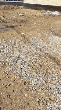 مشروعك السكني يبدأ من هنا!
​هل تبحث عن الجودة، السرعة، والإتقان في التنفيذ؟ نحن هنا لنحول حلمك إلى واقع ملموس!
​✅ ماذا نقدم؟
​تجهيز وتهيئة المواقع الإنشائية بأحدث المعدات.
​أعمال الحفر والردم والتسوية بدقة عالية.
​بناء وتشييد المنازل والمجمعات السكنية وفق أرقى المواصفات.
​فريق عمل متخصص وخبير يضمن لك أفضل النتائج في وقت قياسي.
​📍 موقعنا / واسط الكوت

​📞 للتواصل والاستفسار:
[*********** /***********]
أو تواصل معنا عبر الرسائل المباشرة.
​[ كادر الثقة للبناء الحديث و التطوير العقاري] - نبني المستقبل معاً.
