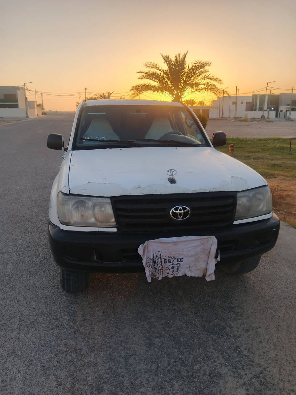 مونيكا البيع موديل 2001 اصوليه رقم سليمانيه انكليزي سنويه ل30 سياره جاهزه محرك كير حداديه تخم تأير منضومه غاز جاهزه البدي غير مكفول مكان نجف سعر 80 تفاصيل اكثر اتصل على رقم اني مكلف بلنشر ‏‪***********‬‏

