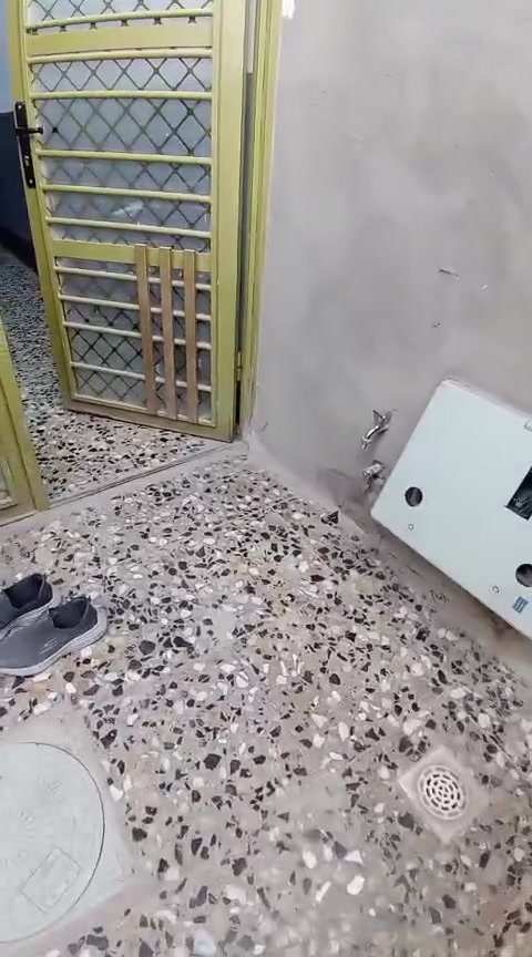 سلام عليكم مشتمل 50متر للبيع طابقين سند 25 كامل  كاع ابو علي الدراجي قرب ماركت نور الحسين ع بعد الركن ملاحضه حالين كاعد بي مئجر الشهر 300 إيجار البيت الرقم *********** كامل مع قراضه تانكي وكيزر وماطور وبنكات كامل
