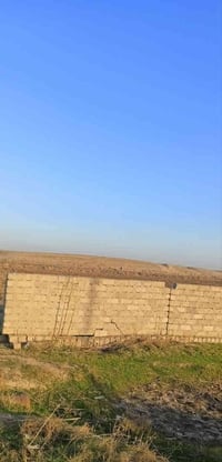 سايدين ربيعة • ٦٣ دونم • سند ٢٥ زراعي