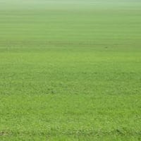 البيع ارض زراعيه 60دونم عله شط ماطوره وحده 07734213656