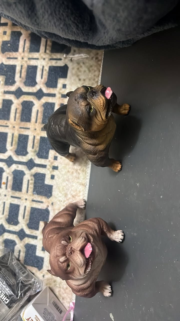 قيم واخذ


**إذا كنت صاحب هذا الإعلان وتريد حذفه لأي سبب، رجاءا أرسل رسالة إلى الدعم الفني**