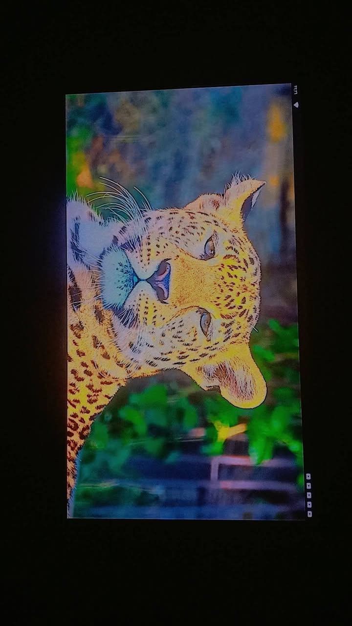 للبيع بلازمة حجم 32 فول دقه سعر70 بيهه مجال تواصل ***********
