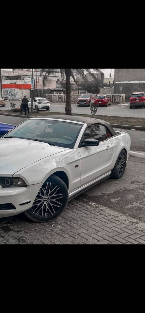 2010 موستنك
‏‎سياره جاهزه على آخر حبايه
‏‎تدفئه 
‏‎تبريد منظومه كامله جديده
‏‎محرك كير بشرط.  اي طكه بالكير ماكو 
كهربائيات كلها شغاله. كروز سرعه بالسترين شغال 
 كشف جديد
‏‎تايرات جدد 
‏‎ترايك وين متريد 
‏‎صبغ سياره حزام جماليه 
‏‎سعر السياره 8000$
‏‎سياره رقم بغداد باسمي هزه بعدها غير منتهيه 
‏‎مكان السياره بغداد الدوره
*********** بغداد, العراق
