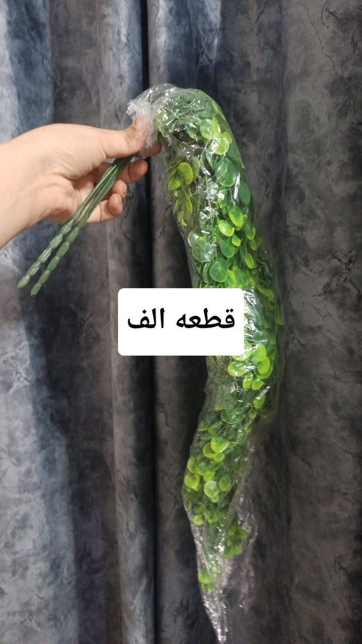 توصيل مكانه ورديه


**إذا كنت صاحب هذا الإعلان وتريد حذفه لأي سبب، رجاءا أرسل رسالة إلى الدعم الفني**