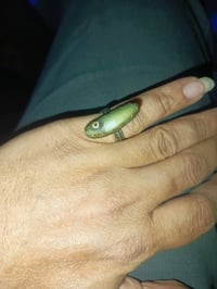 داودي • أخضر • تحفة