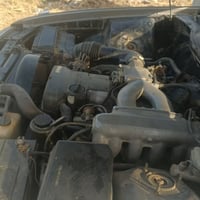 كرسته • مكفولة • رقم بصره انكليزي