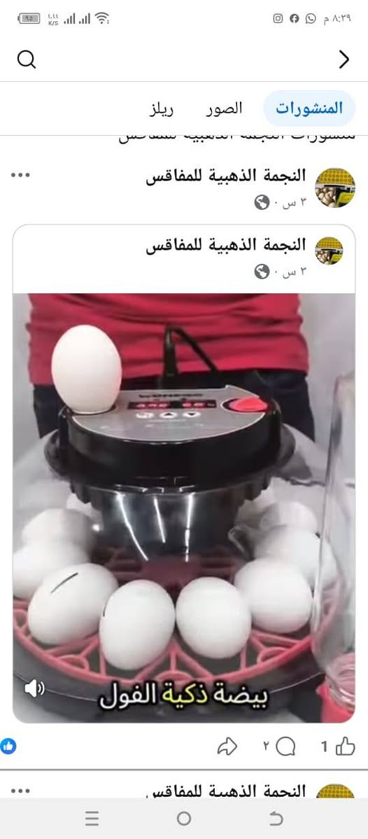 ابدأ مشروعك بخطوة واحده من بيتك لتصنع مستقبلك💁🏻‍♂️  بـ حضّانة البيض الذكية 🐣 تقدر تبداء الأن وتحوّل حلمك إلى حقيقه ودخل ثابت ومربح💰💸
مشروع مضمون ، تشغيل سهل ، ونتائج مبهرة تصلح لجميع انواع بيوض الدواجن
🦆  🐥  🐓  🦃  🦚  🦢  🦜
نسبه فقسها  تتخطى 98 % 🤩🎀🎁
# لأول مرة فقاستنا تعمل الكترونياً من  حيث تقليب البيض وتنظيم درجة حرارة ورطوبة المفقس كونها مزوده بقناني ماء من دون اي تدخل انت ماعليك إلأ إدخال البيض .
عند إنقطاع الكهرباء تتحول اوتوماتيكياً الى التشغيل بالبطاريه بمجرد ربط قوابس البطاريه .
👇 تخفيض وبارخص الاسعار👇🏻ألاحجام المتوفره واسعارها 💰 
1️⃣ مفقس سعة 12🐣 بسعر 60 الف
2️⃣ مفقس سعة 16🐥 بسعر 65 الف
3️⃣ مفقس سعة 18🐥 بسعر 75 الف
4️⃣ مفقس سعة 32🐥 بسعر 90 الف
5️⃣ مفقس سعة 36🐥 بسعر 95الف
6️⃣ مفقس سعة 48🐥 بسعر 100الف
7️⃣ مفقس سعة 52🐥 بسعر 105الف
8️⃣ ص سعة 64🐥 بسعر 110الف
9️⃣ مفقس سعة 70🐥بسعر 110الف هديه
🚚 لدينا خدمة توصيل بمبلغ 5 الاف دينار لجميع المحافظات 
🐥 🐥 🐥 
🌀 مميزات الحضّانات:🕊️
✔ شاشة رقمية للحرارة والرطوبة
✔ تقليب أوتوماتيكي كل ساعتين
✔ إنذار عند أي خلل
✔ استهلاك كهرباء منخفض جدًا
🛠️ دعم فني ومتابعة مستمرة:
إذا واجهتك أي مشكلة أثناء استخدام الحضانة، نحن جاهزون لمساعدتك فورًا حال الاتصال بنا على .
للحجز والأستفسار
هاتف 📞    ***********
📲 واتساب ***********
