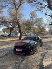 موستنك • ٢٠١٠ • كركوك