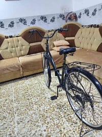 باسكل عبدالحليم • حجم٢٦ • يطبق